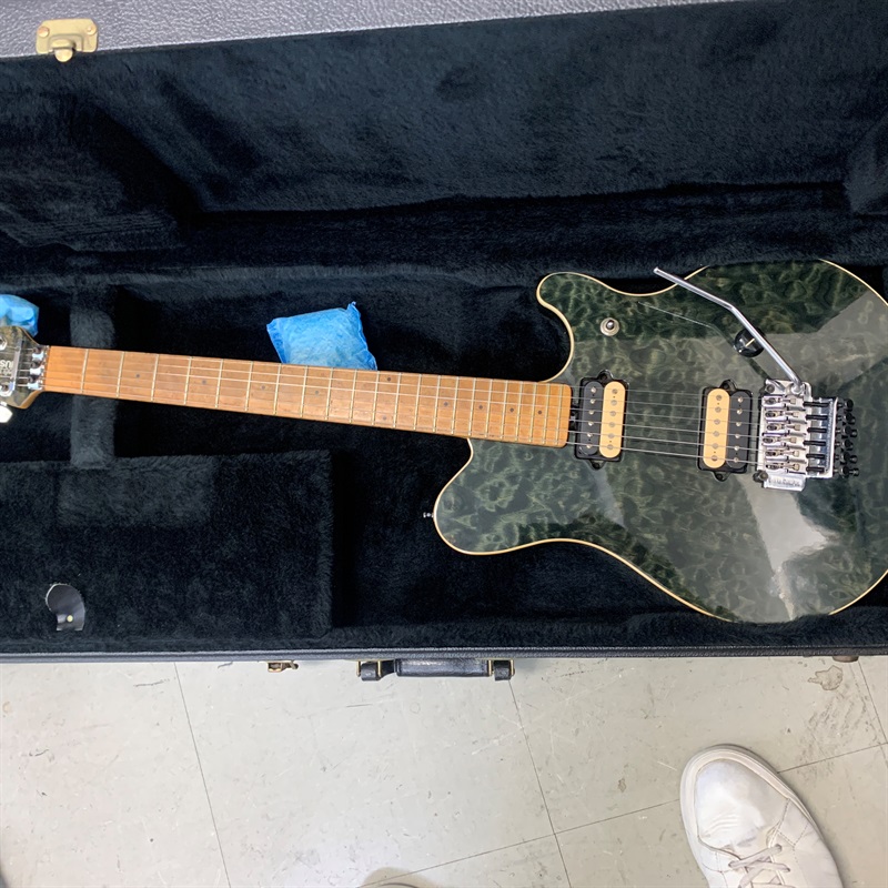 MUSICMAN EVH Signature TRBKの画像